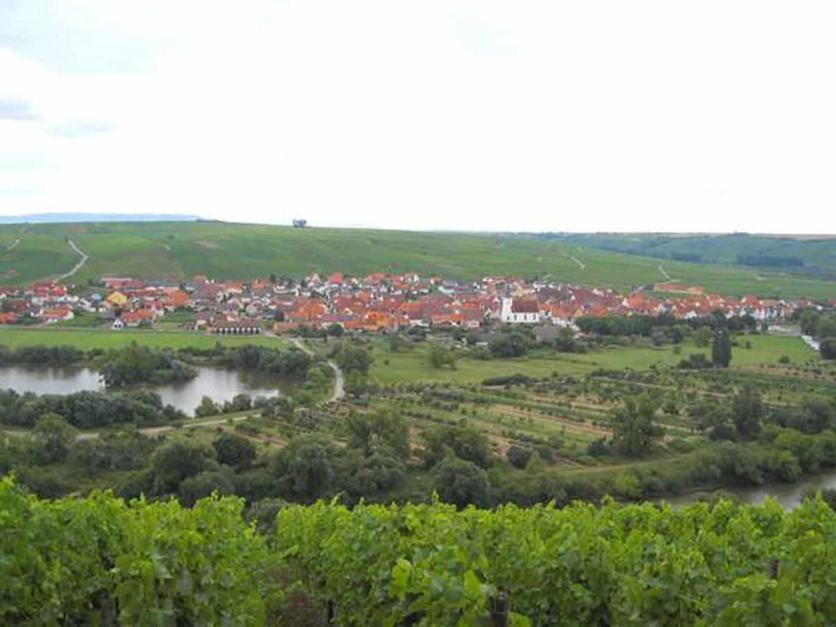 诺尔德海姆Ferien- Und Winzerhof Ute Braun公寓 外观 照片